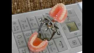 15miniature denture 小さい入れ歯達 [upl. by Seely]