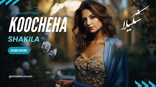 Koocheha  Shakila  Persian Love song  کوچه‌ها  شکیلا  آهنگ عاشقانه [upl. by Kampmeier]