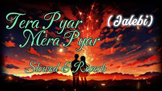 Mera Pyar Tera Pyar  Arijit Singh Jalebi song  Slowed amp Reverb Lofi Mix [upl. by Kaycee]