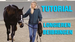 Bodenarbeit Tutorial Pferd Longieren beibringen  Übungen mit Kappzaum [upl. by Otilegna]