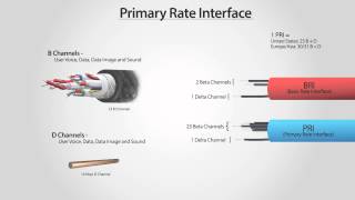 What Is PRI  Primary Rate Interface ISDN PRI [upl. by Charlena]