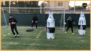 Professional Goalkeeper Training [upl. by Kronick783]