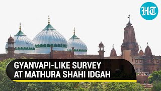 Big Win For Hindu Side Allahabad HC Orders Shahi Idgah Complex Survey In Mathura Amid Temple Claims [upl. by Zahavi]