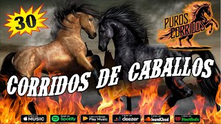 Puros Corridos De Caballos 2024 ⭐ Lo Mas Nuevo Estrenos⭐ 30 Exitos Mejores Canciones Mix ⭐ [upl. by Nnaira]