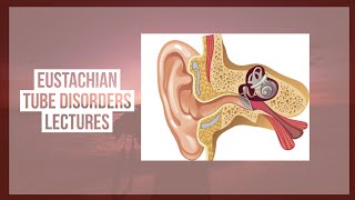 EUSTACHIAN TUBE DISORDERS lecture 1 ANATOMY and functions of tube made easy [upl. by Ahsinel]