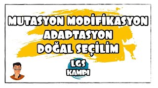 Mutasyon Modifikasyon Adaptasyon  LGS Kampı [upl. by Alva]