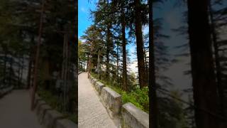 Landour  Mussoorie mussorie mussoorie landour pine music doctor omfs yatridoctor travel [upl. by Zacharia]