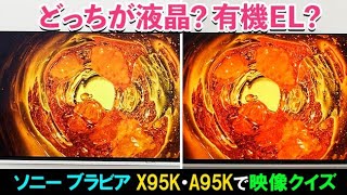 ソニー ブラビア映像クイズ どっちの映像が液晶テレビ X95Kで、有機ELパネル A95Kでしょう？｜Joshin 試用レポート [upl. by Zakarias]