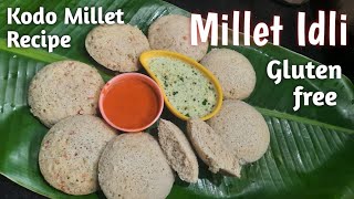 Millet IdliKodo Millet recipesMillet recipesrasoishowMillet Idli dosa batterMillet Year 2023 [upl. by Warford]