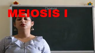 MEIOSIS I Easy explanation BIOLOGY  ICSE CBSE Board Exams [upl. by Ayetal720]