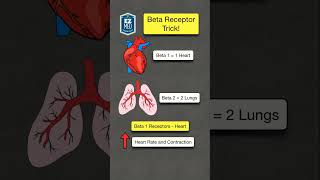 Beta Receptor MEMORY TRICK shorts [upl. by Cherianne]