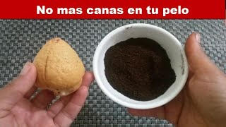 No imagine que con la semilla de aguacate y café podía cubrir las canas en mi cabello [upl. by Bushweller]