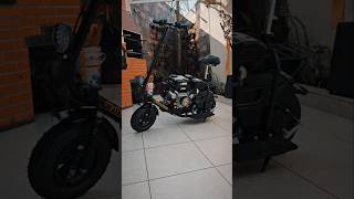 Patinete motorizado 210cc sob encomenda equipe Amilzera contato 11976181906 [upl. by Doowron]