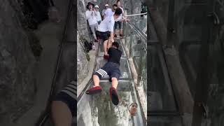 glass bridge 🌉🌉 facts  youtube  short video [upl. by Hannaj352]