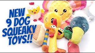 Dog Squeaky Toys 9 Different Squeaky Toy Sounds To CALL Your Dog [upl. by Heriberto]