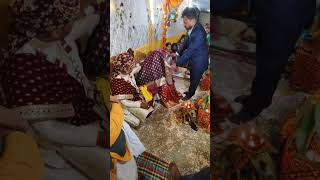 Chunari rasam 0divloveammu wedding love shadi marriage happy shaadi [upl. by Nosneb]