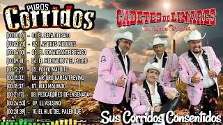 Los Cadetes de Linares 2024  Corridos De Pistoleros Famosos [upl. by Oneida]