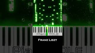 Franz Liszt piano pianoclassical pianoversion [upl. by Barbaraanne]