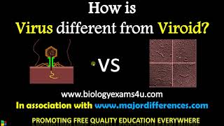 5 Differences between Virus and Viroid  Virus vs Viroids BiologyExams4u [upl. by Dorotea460]