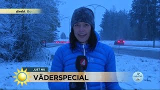 Snökaos i Dalarna  Nyhetsmorgon TV4 [upl. by Hew]