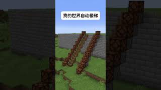 我的世界 minecraft [upl. by Enyaz865]