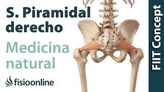 Síndrome del piramidal derecho  Visión desde la fisioterapia y la medicina natural [upl. by Aneleve4]