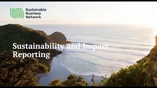 Sustainability and Impact Reporting [upl. by Aratal]