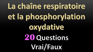 Révision SVT La chaîne respiratoire et la phosphorylation oxydative [upl. by Ahsinyd]