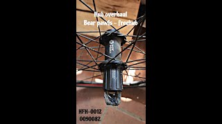 Bear Pawls Hub overhaul  Freehub HFH0012 [upl. by Haleelahk773]