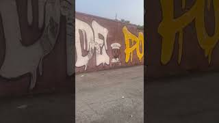 Rap Artist DeDe Porter Mural In Toledo Oh RIP [upl. by Lemmy544]