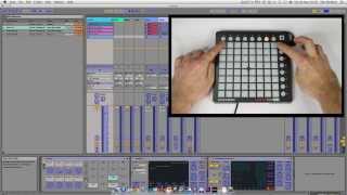 Support  Launchpad Mini  S getting started with Live on PC [upl. by Yrag]