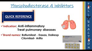 PDE 4 INHIBITORS and its adverse reactions  MOA  Headache  Diarrhea [upl. by Ylrebmyk]