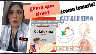 CEFALEXINA para que sirve Doctoraleon [upl. by Behn]