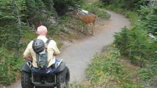 Segway® Wheelchair Kit on Forest Trails [upl. by Anaig]