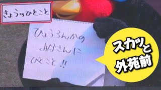 全ちなヤクがスカッとしたつば九郎の『きょうのひとこと』 拡散希望 [upl. by Enyr]