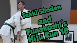 Tekki Shodan amp Funakoshis Niju Kun 18 [upl. by Irakab564]