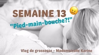 047 VLOG de grossesse semaine 13 quotpiedmainbouchequot Mademoiselle Karine [upl. by Hyman]