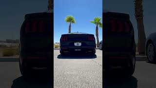 Get a closer look at the Roush Mustang exhaust sound [upl. by Fulviah]