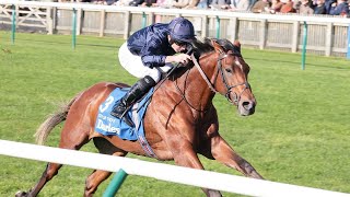 Racings new superstar City Of Troy draws comparisons with Frankel in Dewhurst romp [upl. by Lasala]