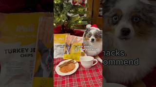 Santa paws is coming to town 🎶🐾 dog treats santa ipawglobal [upl. by Cornelle]