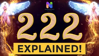 222 Angel Number  REWARDS are Coming YOUR WAY  Spiritual Message Explained [upl. by Ronald]