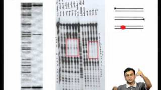 Mod01 Lec04 Proximal amp Distal Promoter ElementsEnhancers and Silencers Genespecific Regulators [upl. by Amandy]