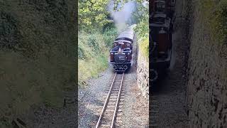 Ffestiniog Railway Bygones weekend Rhiw Plas Cutting [upl. by Conlon]