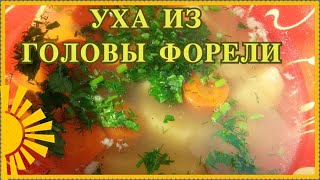 Уха из головы форели в кастрюле Как приготовить быстро полезно пошаговый рецепт [upl. by Sherie]