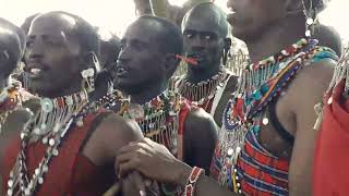 Discover the Mesmerising Art of Maasai Throat Singing [upl. by Elish]