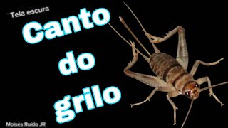 Canto do grilo localizando  Song of the cricket [upl. by Antin]