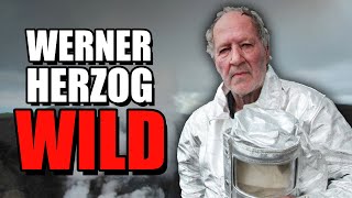 The Wildest Director Ever  Werner Herzog [upl. by Aneekahs189]