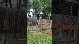 Making a trellis from old fence posts🌿 gardening nature recycle shorts beautiful [upl. by Gnim]