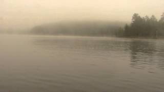 Loons Calling Long Lake NY Adirondacks [upl. by Aran528]