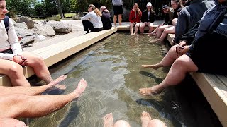 Kuirau Park Mud Pools Rotorua NZ Dec 2019Jan 2020 [upl. by Arjun253]